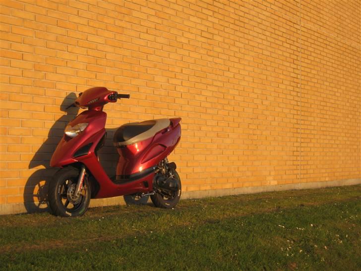 Honda Sfx Candy red (solgt) billede 6