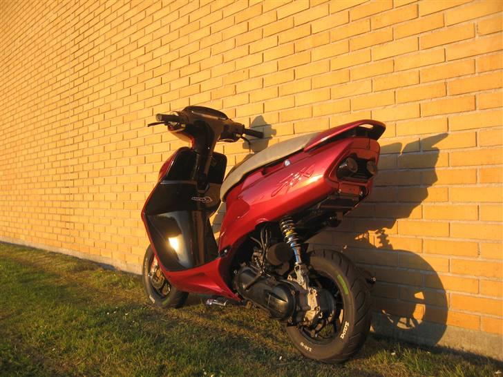 Honda Sfx Candy red (solgt) billede 9