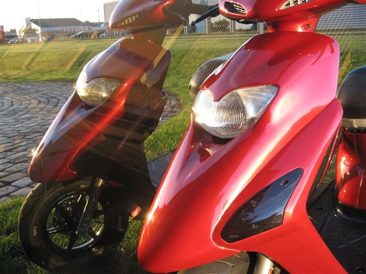 Honda Sfx Candy red (solgt) billede 11