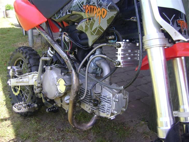 Honda pitpro billede 2