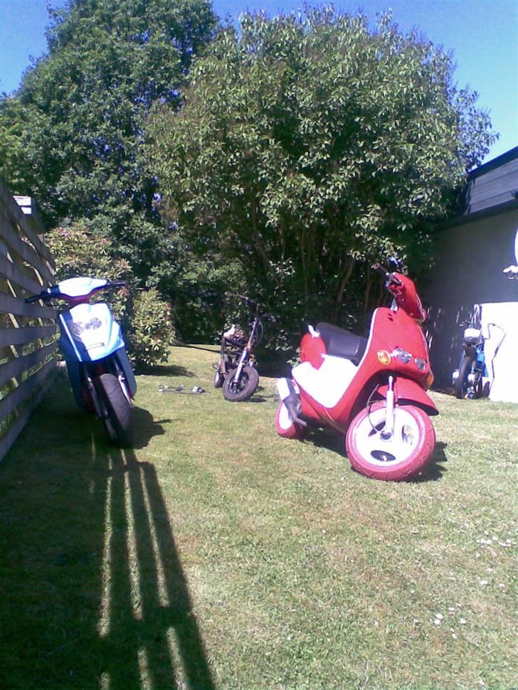 PGO HOT 50 BYTTET billede 7