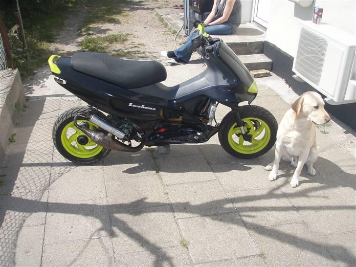 Gilera Runner Lc solgt billede 6
