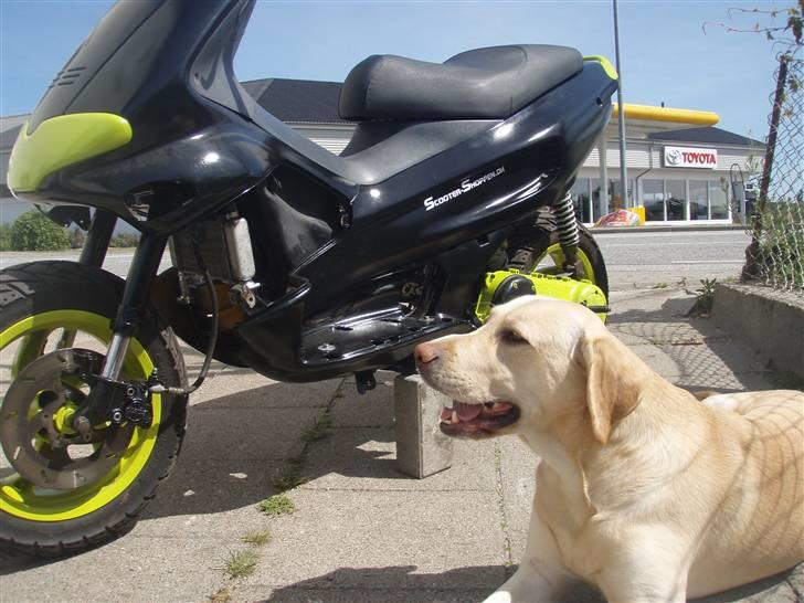 Gilera Runner Lc solgt billede 13