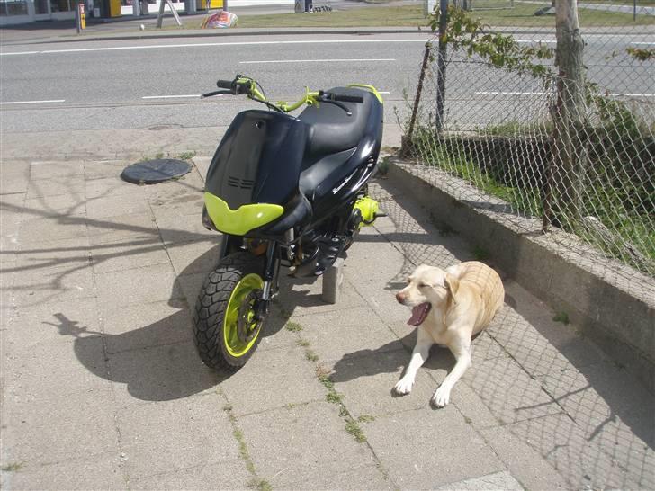 Gilera Runner Lc solgt billede 14