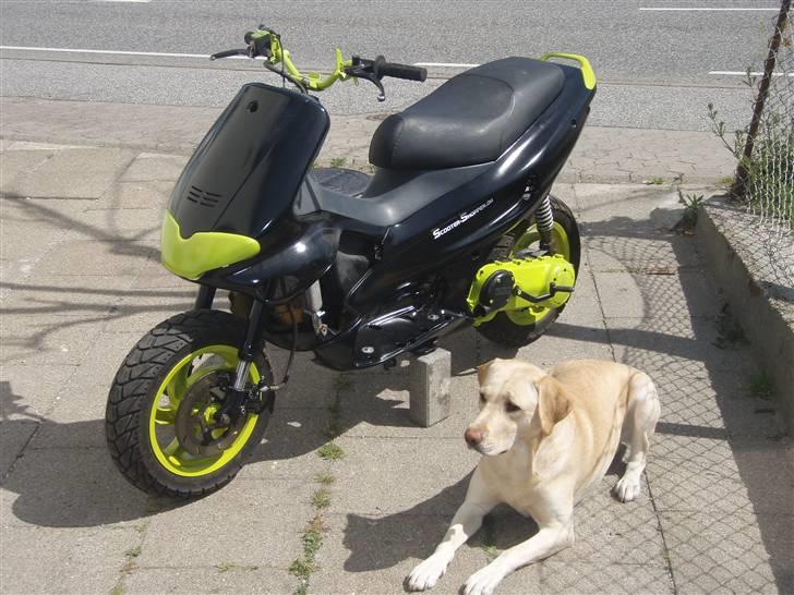 Gilera Runner Lc solgt billede 15