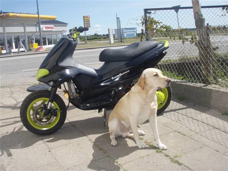 Gilera Runner Lc solgt billede 16