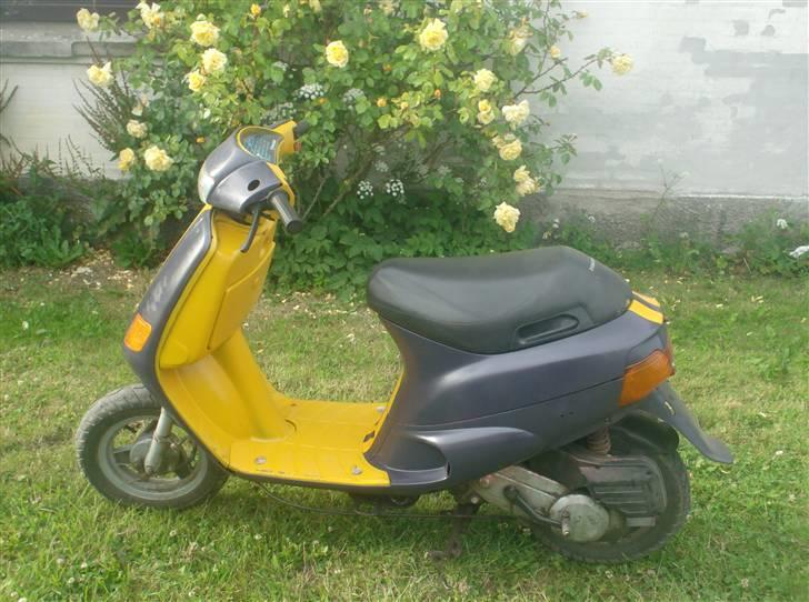 Piaggio zip gl  "meraviglia(solgt billede 6