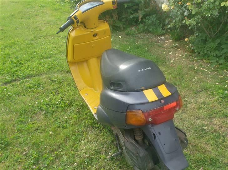 Piaggio zip gl  "meraviglia(solgt billede 8