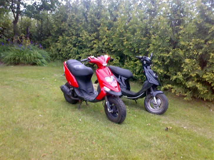 Gilera Stalker - min stalker og torbens hot 50 billede 10