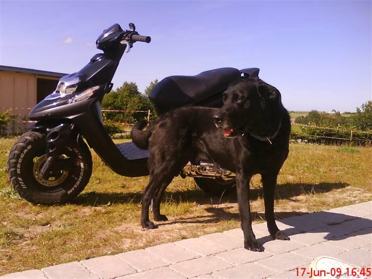 Yamaha Bws Ng billede 17