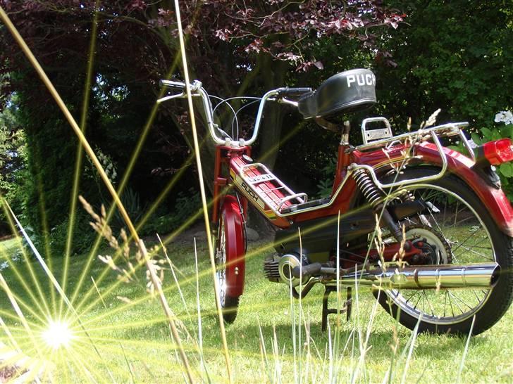 Puch Maxi KL - E50 - hun er da pæn xD billede 1