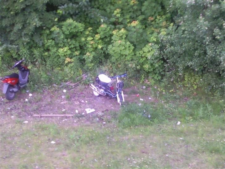 Yamaha "J0G As/R LC S6SR ••• billede 9