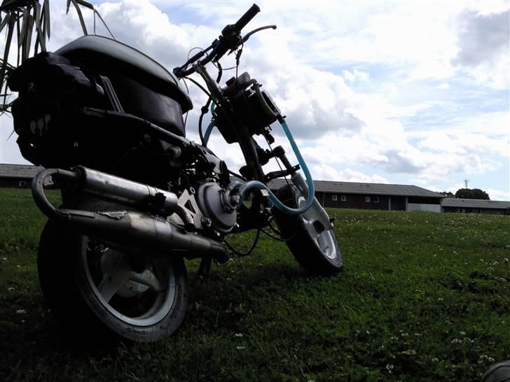 Yamaha "J0G As/R LC S6SR ••• billede 10