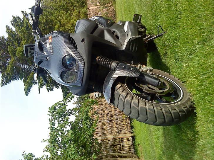 PGO pmx naked carbon billede 14