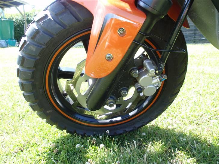 PGO hot 50 billede 6