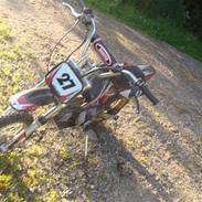 MiniBike kina crosser 