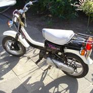 Suzuki Fz50 ( SOLGT )