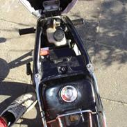 Suzuki Fz50 ( SOLGT )