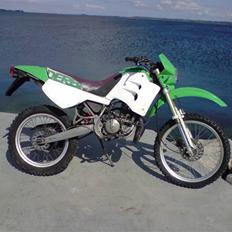 Derbi Senda LC DD slogt