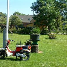 Suzuki Fz 50 solgt
