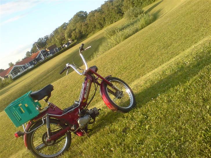 Puch Maxi KL - E50 billede 11