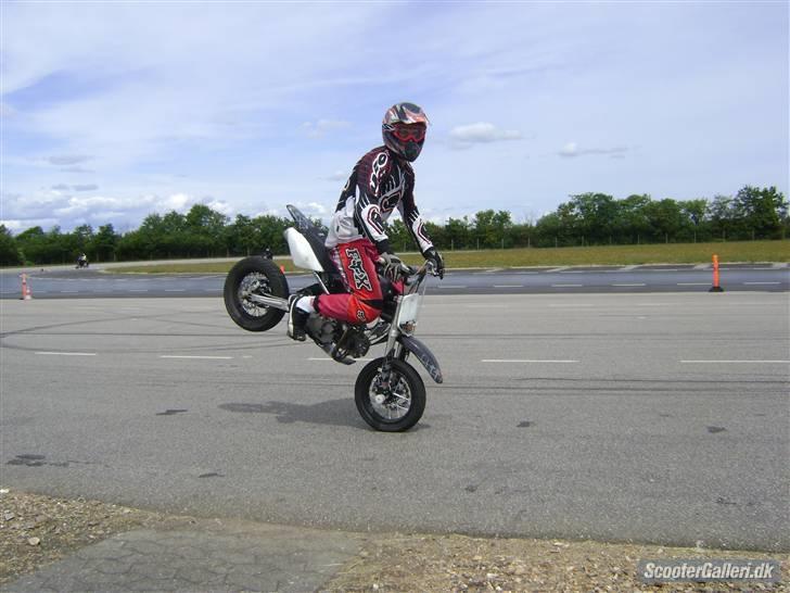 Pitpro Lite billede 20
