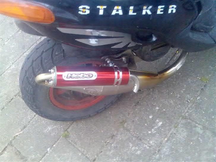 Gilera stalker billede 6