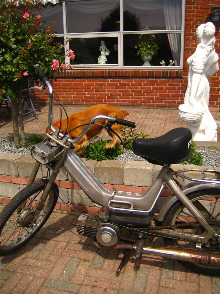 Puch Maxi K (Gm) billede 1