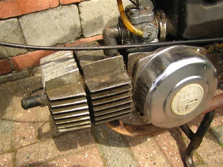 Puch Maxi K (Gm) billede 13