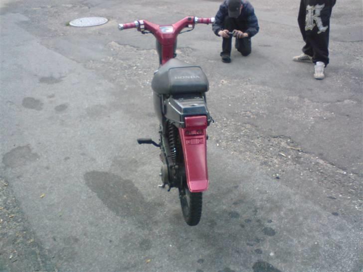 Honda wallaro billede 10