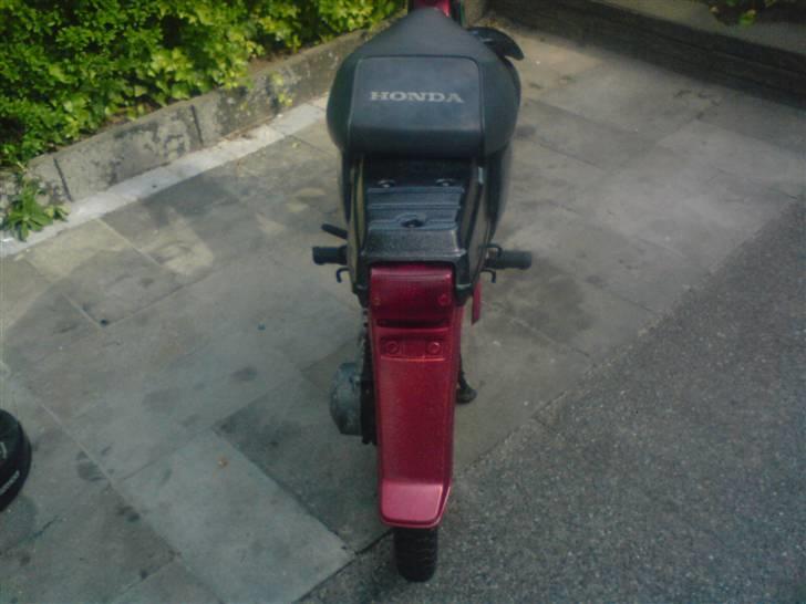 Honda wallaro billede 16