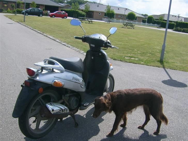 Kymco people (Soolgt) billede 5