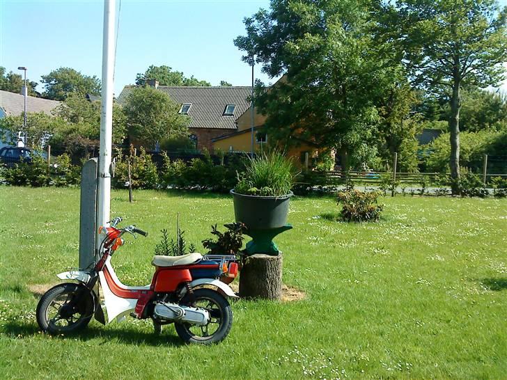 Suzuki Fz 50 solgt billede 3