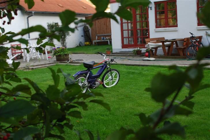 Puch maxi kl Byttet.. ;( billede 8