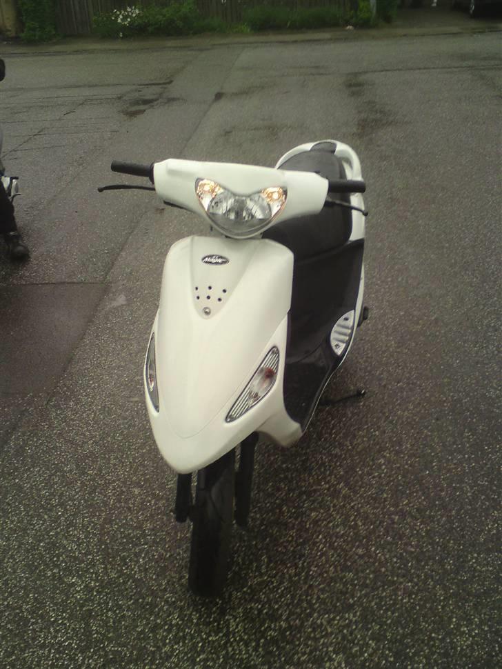 PGO White Magic [SOLGT] billede 15