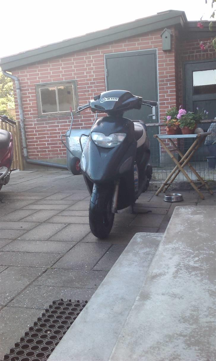 Honda sfx billede 11