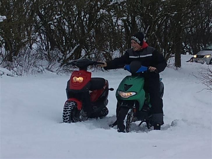 CPI Hussar       SOLGT - NU billede 1