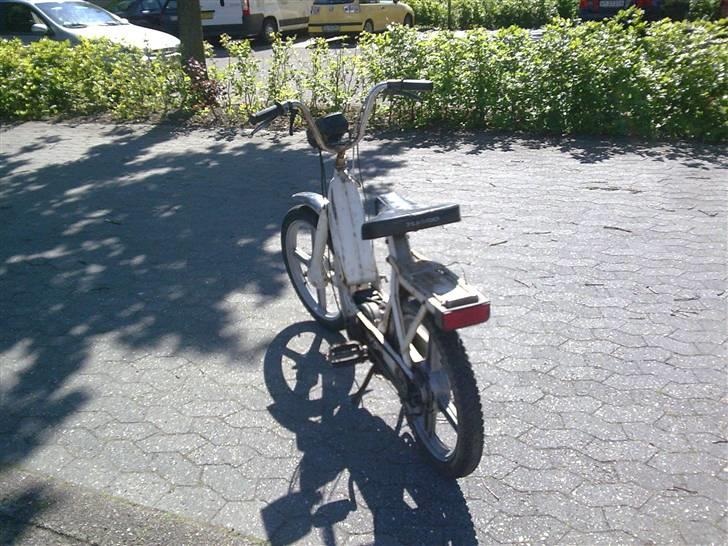 Piaggio Caio billede 5