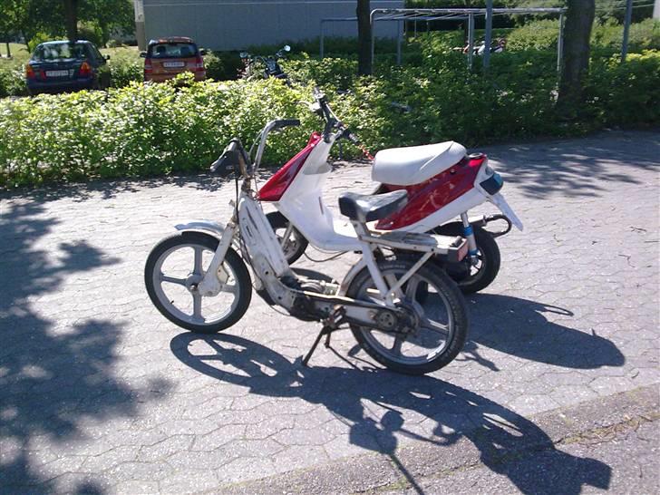Piaggio Caio billede 8
