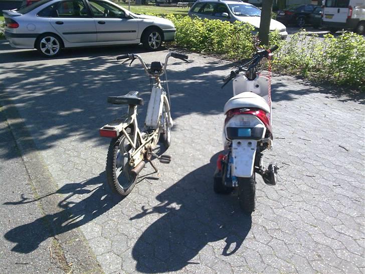 Piaggio Caio billede 9