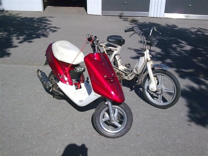 Piaggio Caio billede 11