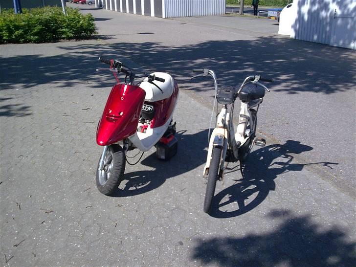 Piaggio Caio billede 12