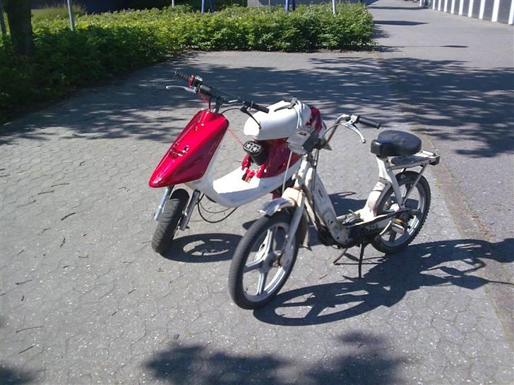 Piaggio Caio billede 13