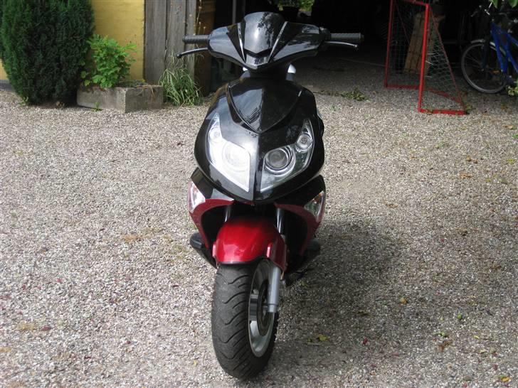 Skyteam BAT . fox billede 8