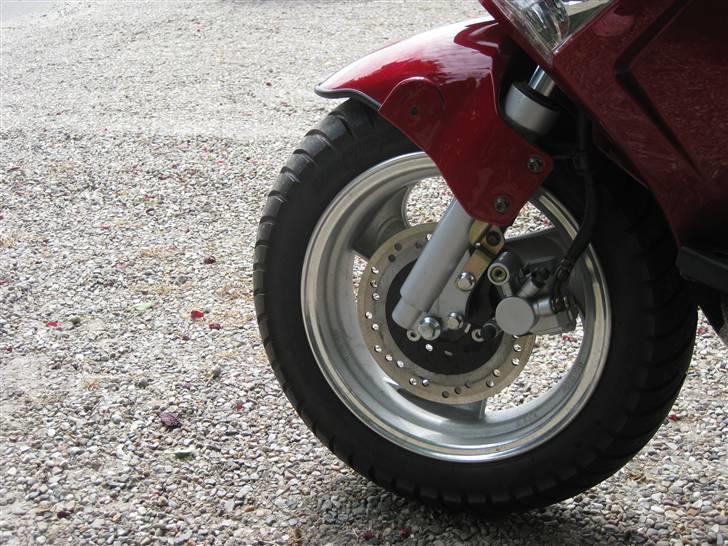 Skyteam BAT . fox billede 13