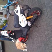 PGO PMX Sport No Fear