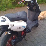 PGO PMX Sport No Fear