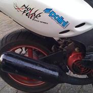 PGO PMX Sport No Fear