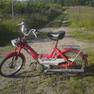 Puch Maxi P