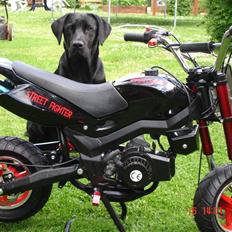MiniBike "street fighter" solgt 